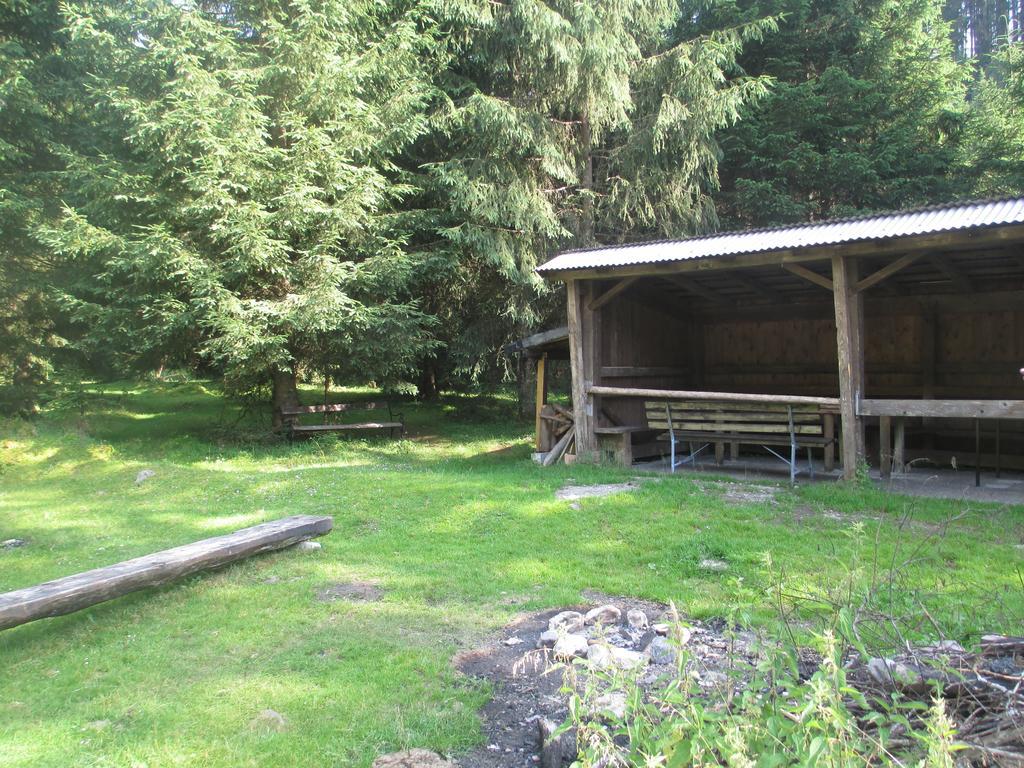 Schwarzenbacher Lungötz Oda fotoğraf