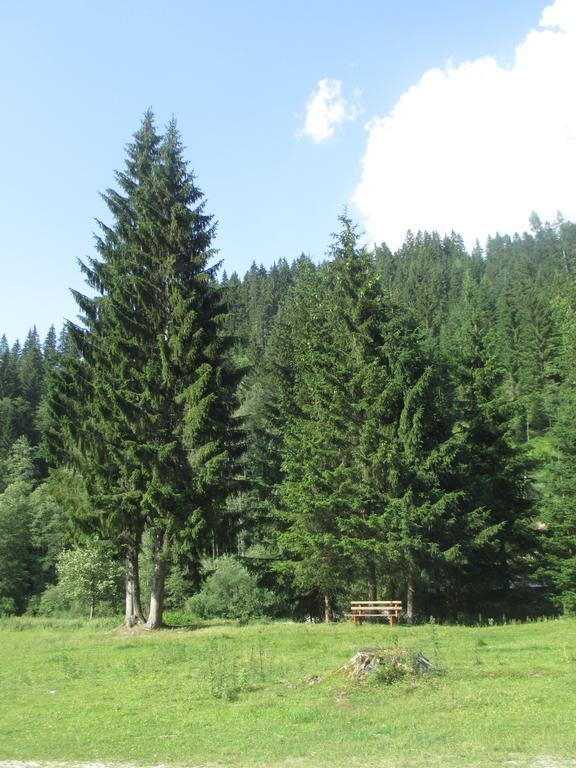 Schwarzenbacher Lungötz Oda fotoğraf