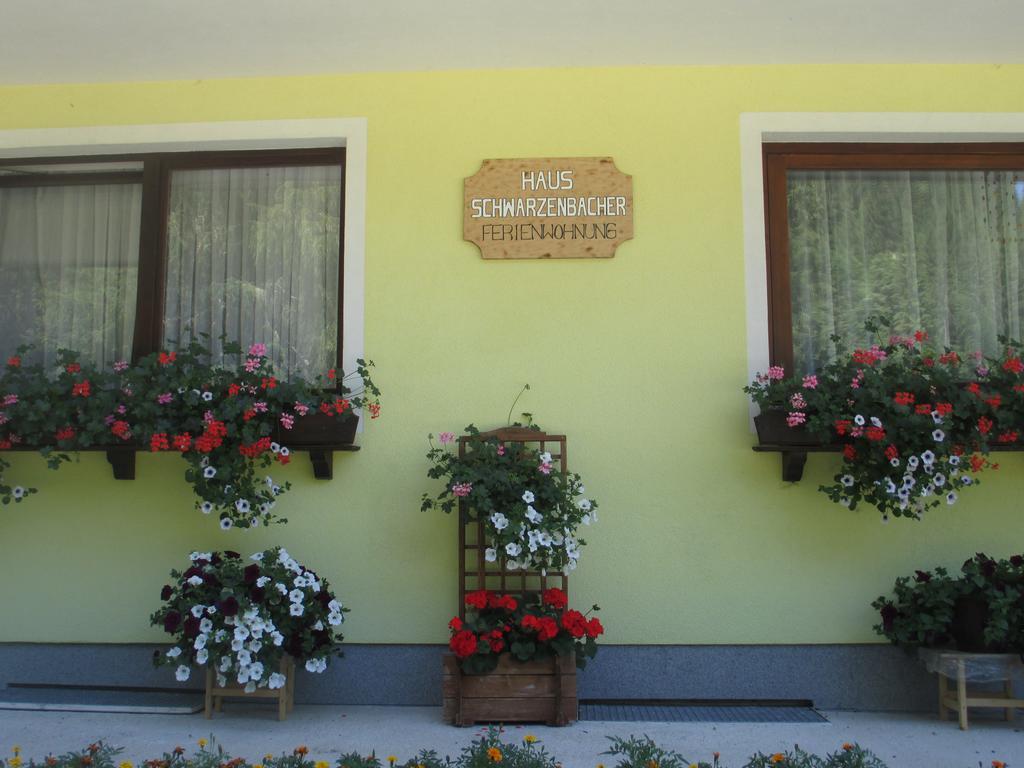 Schwarzenbacher Lungötz Oda fotoğraf